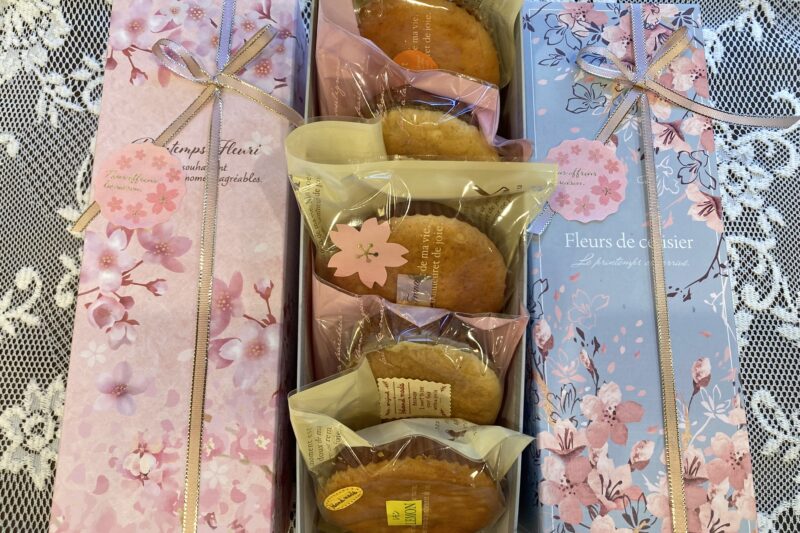 桜のおくりもの🌸