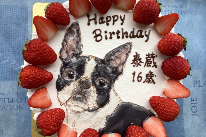 イラストデコレーション🎂