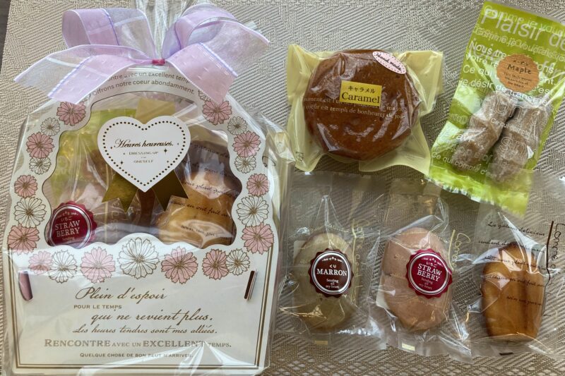 プティフール・デイジー🌸